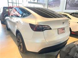 تسلا موديل Y